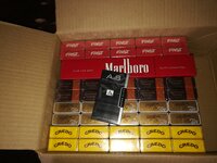 IMG_20220927_124346.jpg